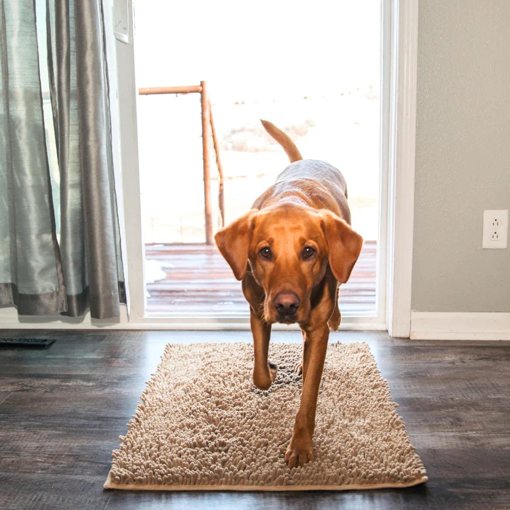 Tapis CleanNova™