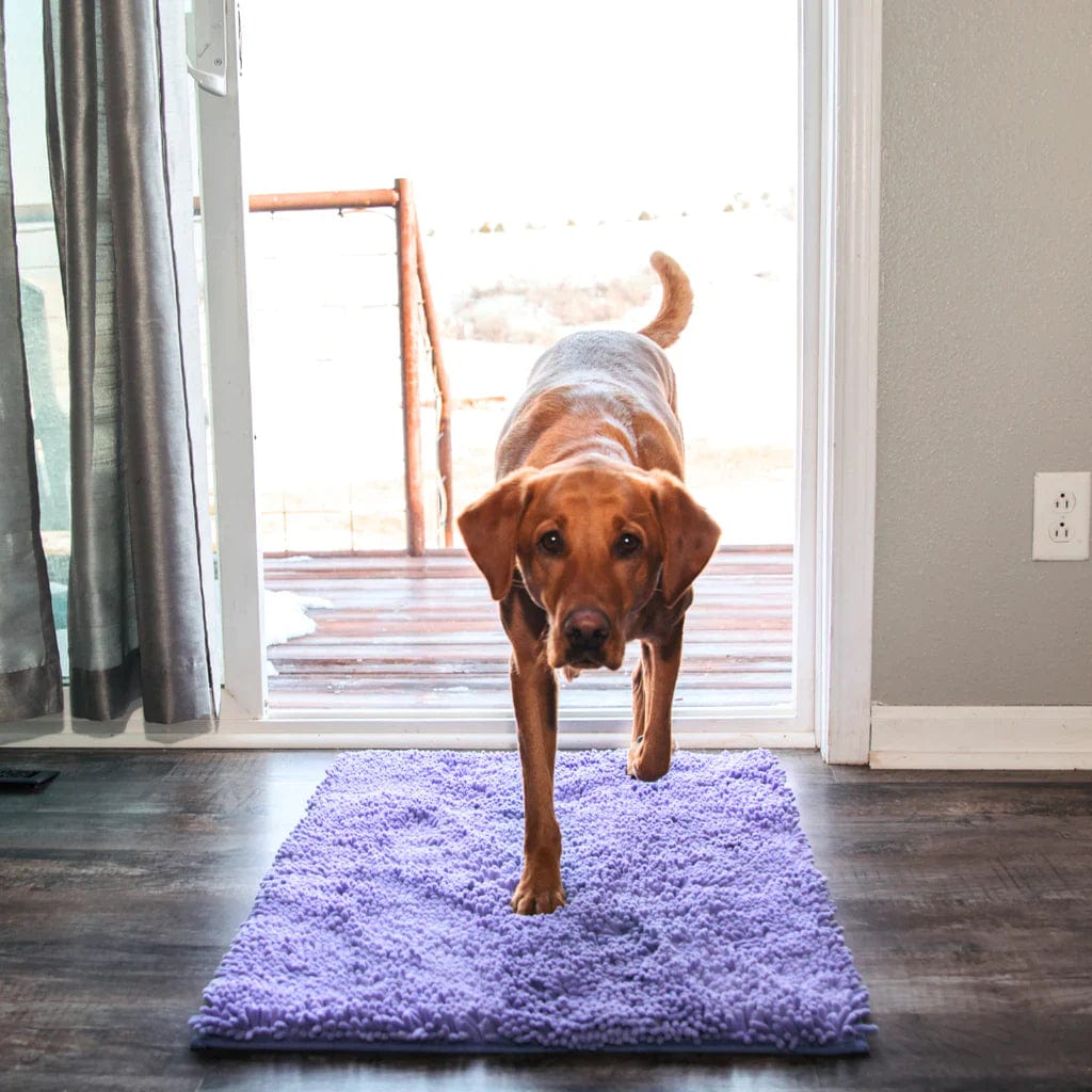 Tapis CleanNova™