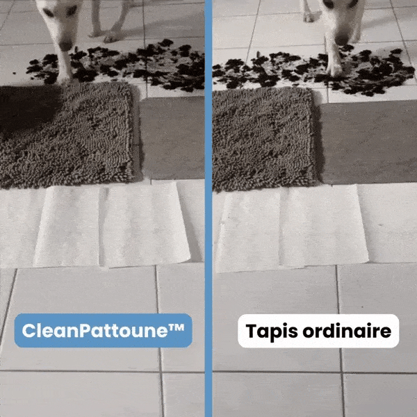Tapis CleanNova™