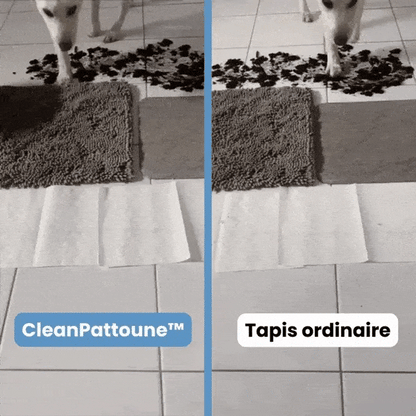 Tapis CleanNova™