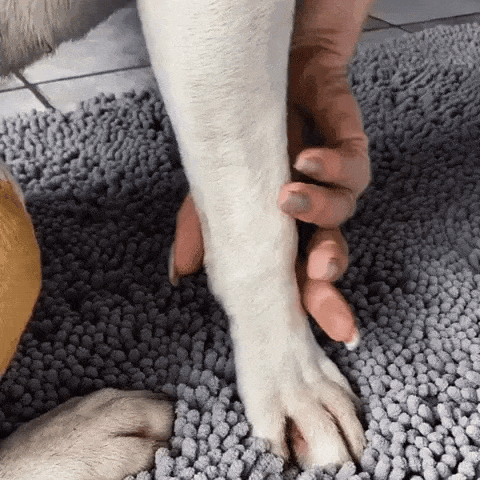 Tapis CleanNova™