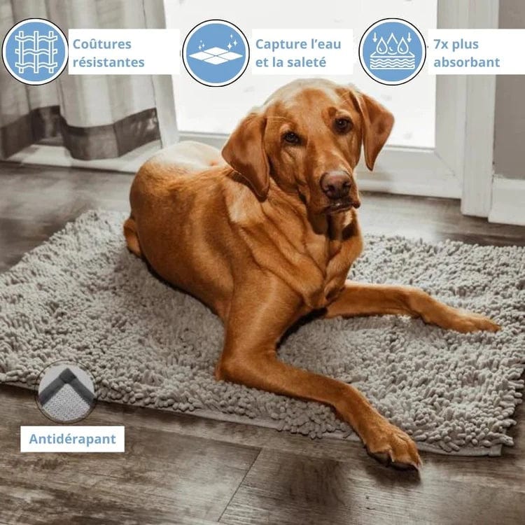 Tapis CleanNova™