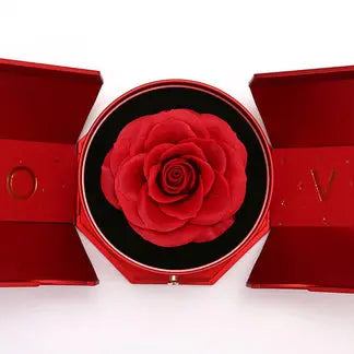 Coffret Rose Éternelle - Avec Collier Cœur en Or Blanc 14 carats