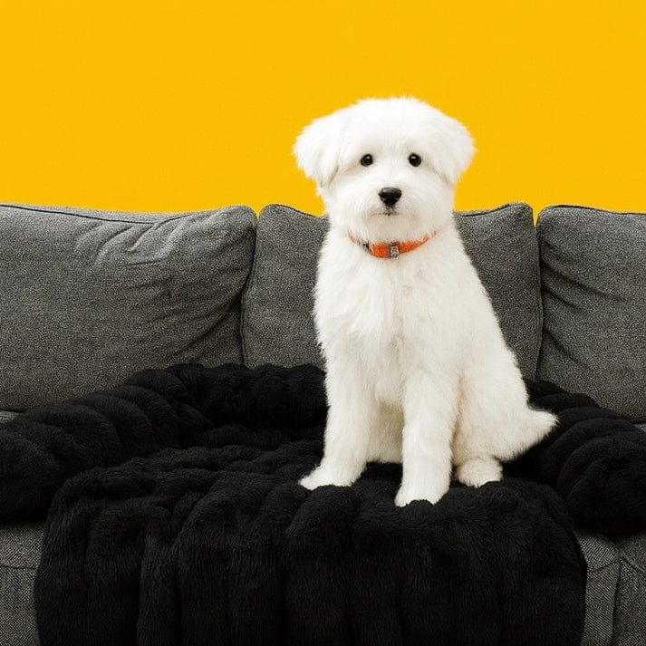 Canapé-lit de luxe Nova – Le refuge douillet préféré de votre animal