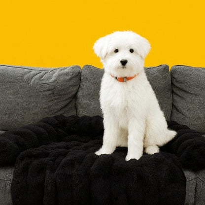 Canapé-lit de luxe Nova – Le refuge douillet préféré de votre animal