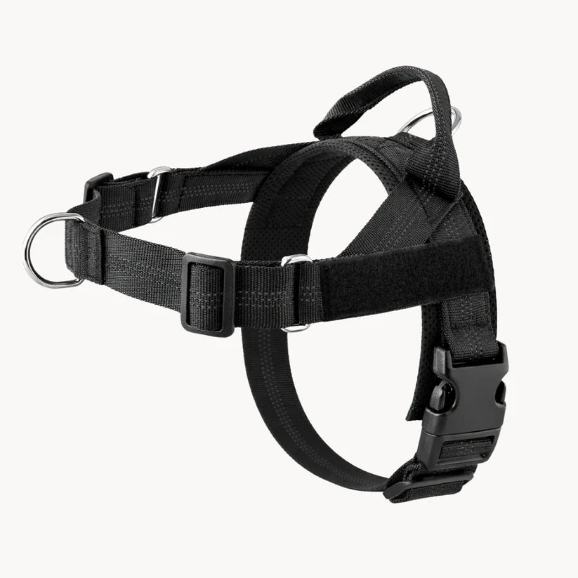 Harnais pour chien anti-traction Nova