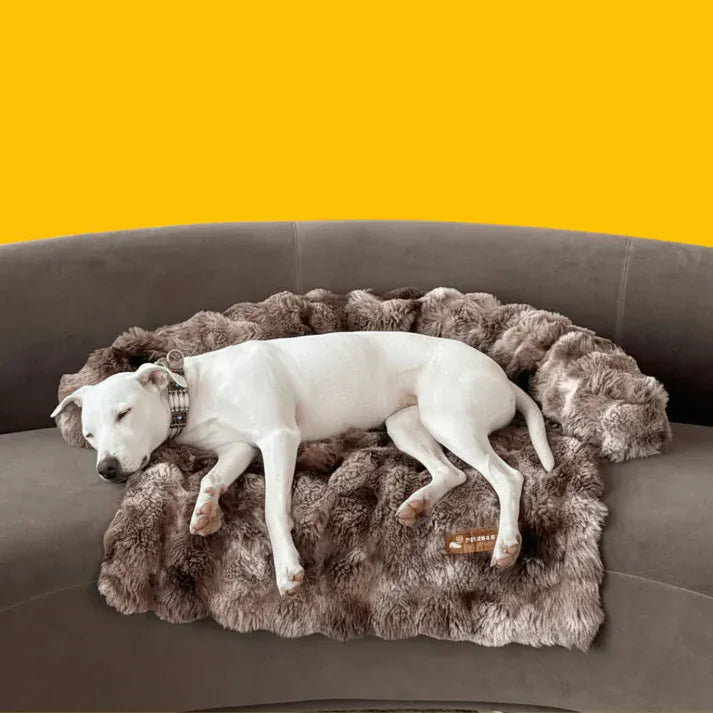 Canapé-lit de luxe Nova – Le refuge douillet préféré de votre animal