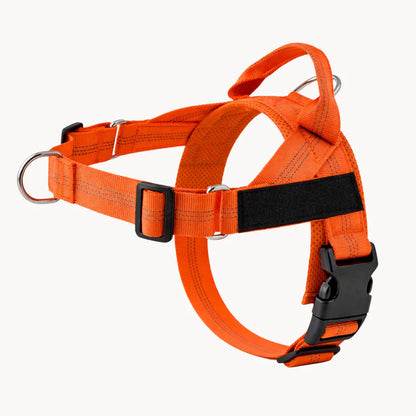 Harnais pour chien anti-traction Nova