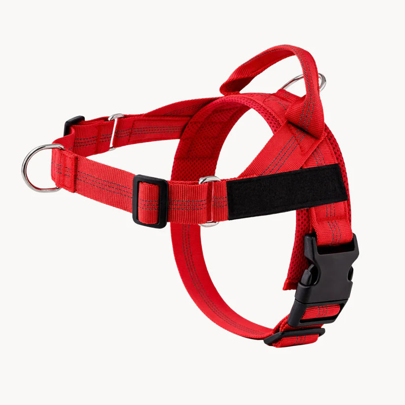 Harnais pour chien anti-traction Nova