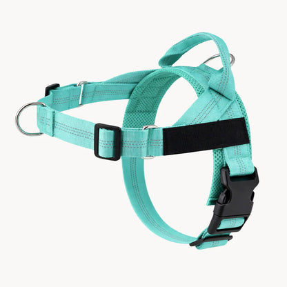 Harnais pour chien anti-traction Nova
