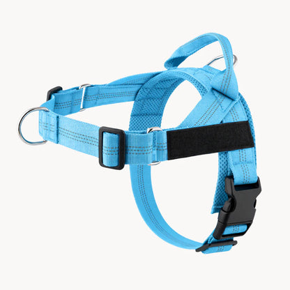 Harnais pour chien anti-traction Nova