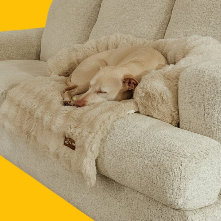 Canapé-lit de luxe Nova – Le refuge douillet préféré de votre animal