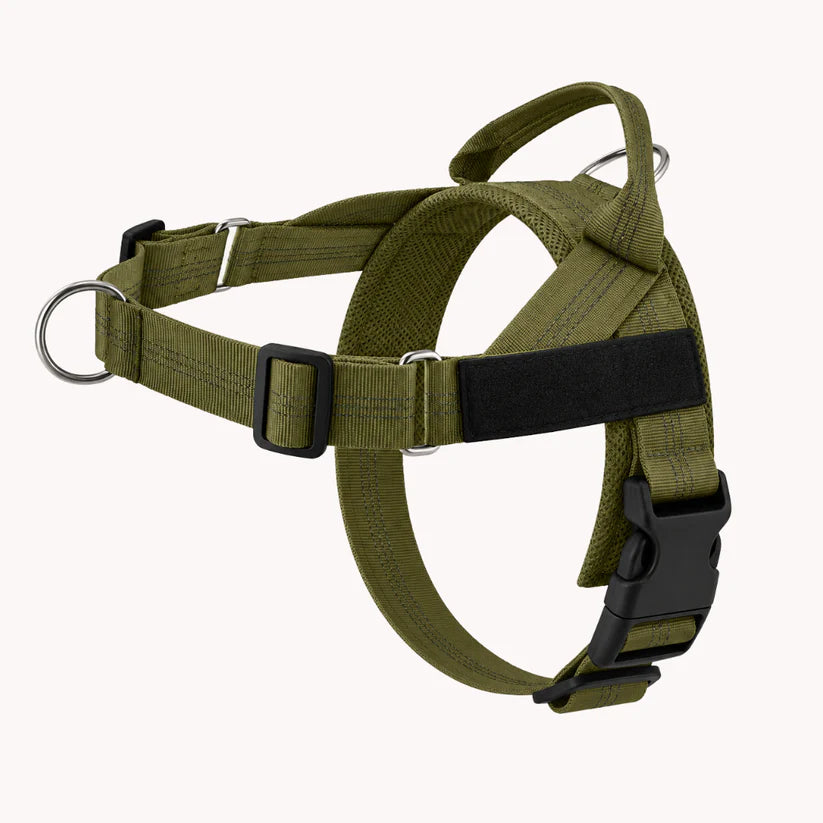 Harnais pour chien anti-traction Nova