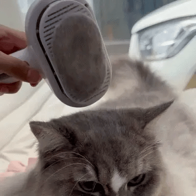 Brosse Anti-Poils Vapeur Pro™