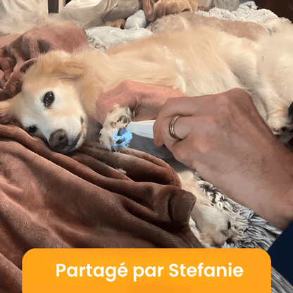 Nova Pro™ – Soin des pattes sans douleur en quelques secondes