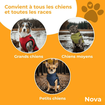 Manteau d'hiver 3 en 1
