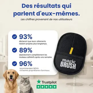 Gant Anti - Poils
