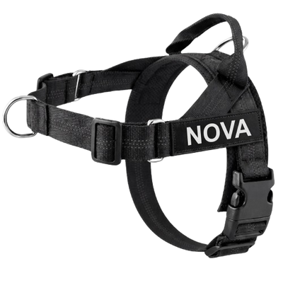 Nova