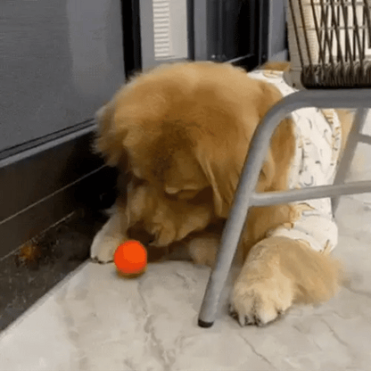 Nova – Balle interactive