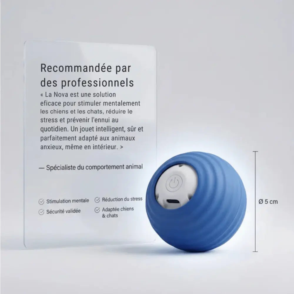 Nova – Balle interactive