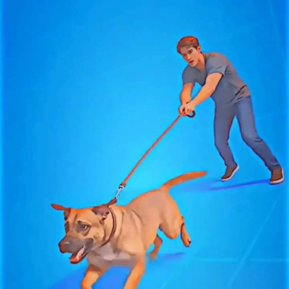 Harnais pour chien anti-traction Nova