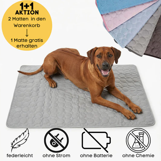 Kühlmatte für den Sommer | 1+1 AKTION