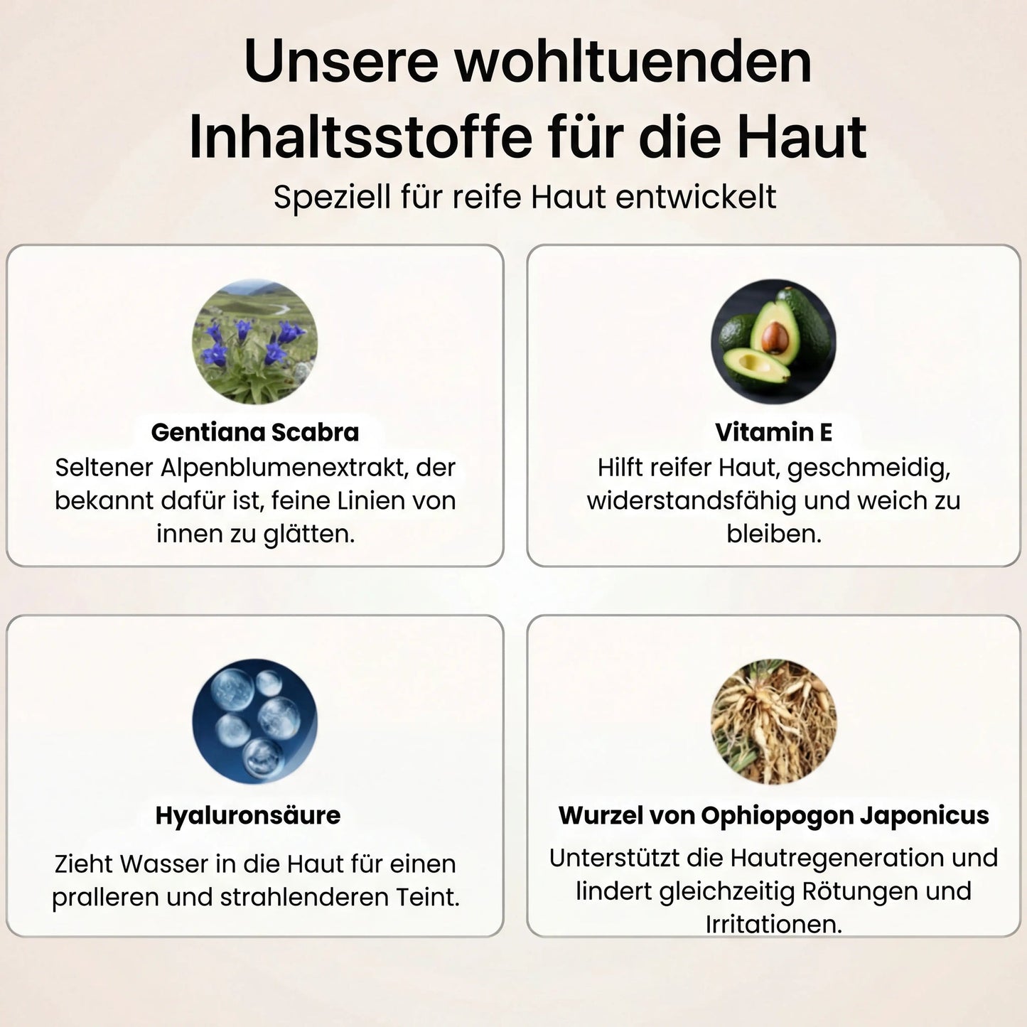 4-in-1-Grundierung