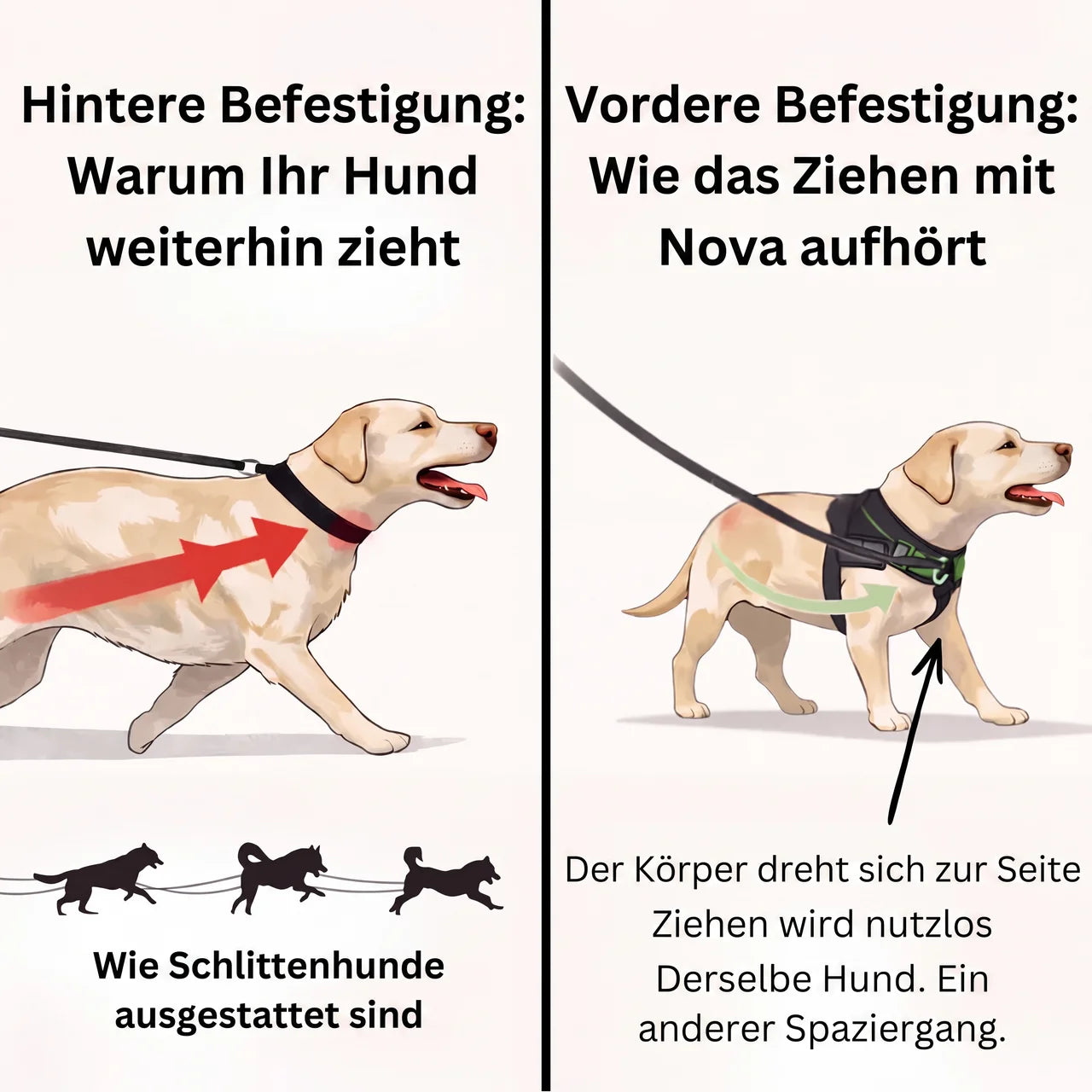Nova Anti-Zug-Geschirr für Hunde