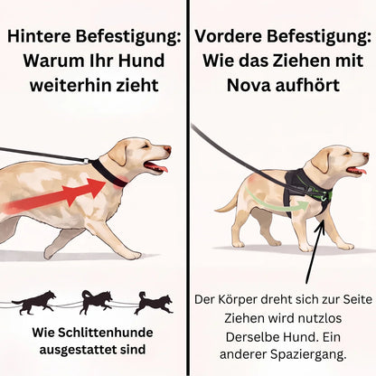 Nova Anti-Zug-Geschirr für Hunde