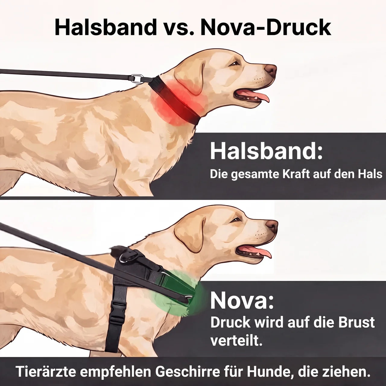 Nova Anti-Zug-Geschirr für Hunde