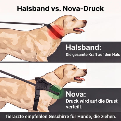 Nova Anti-Zug-Geschirr für Hunde