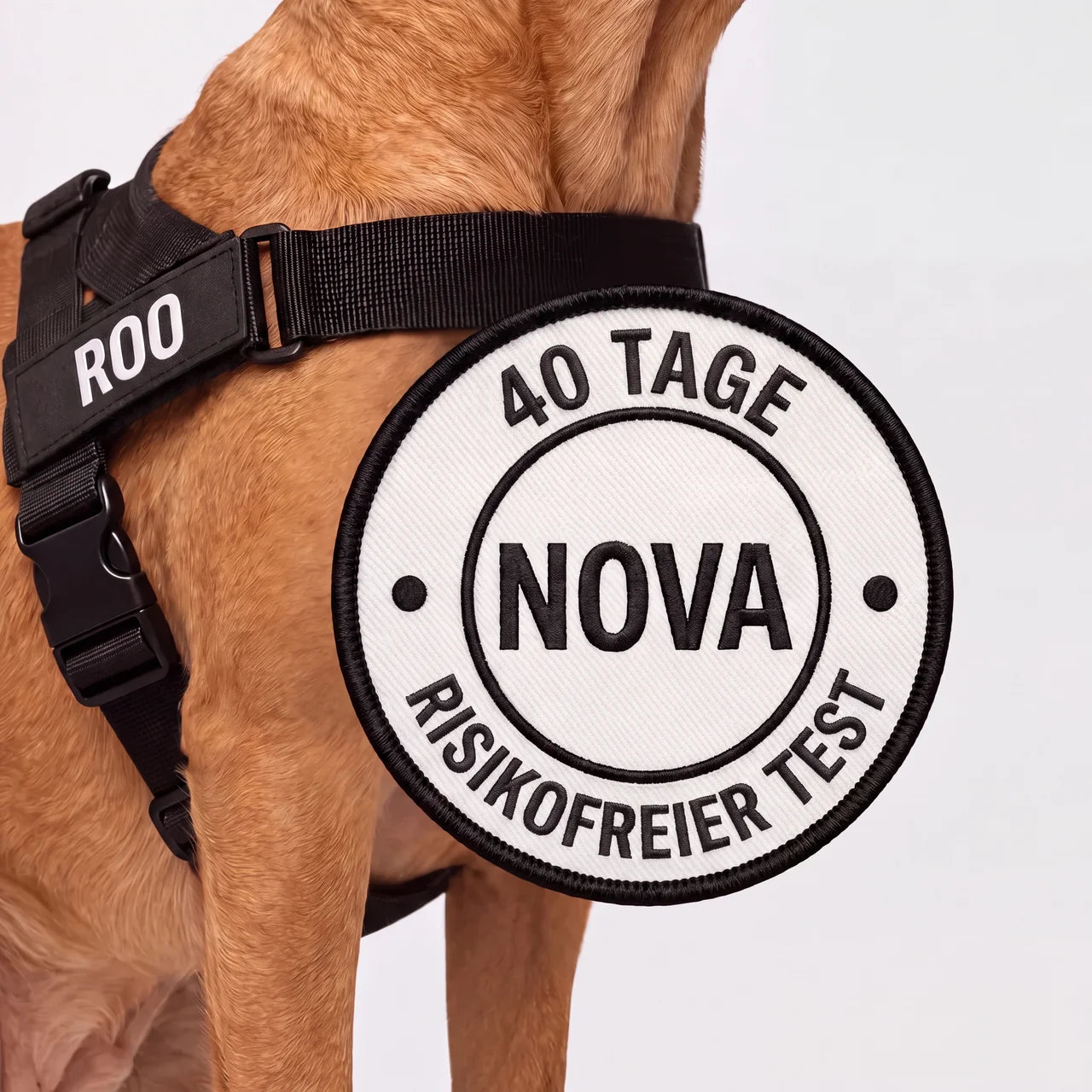 Nova Anti-Zug-Geschirr für Hunde