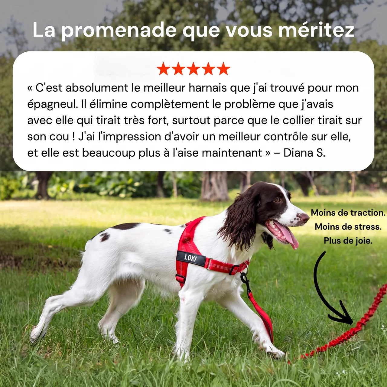 Harnais pour chien anti-traction Nova