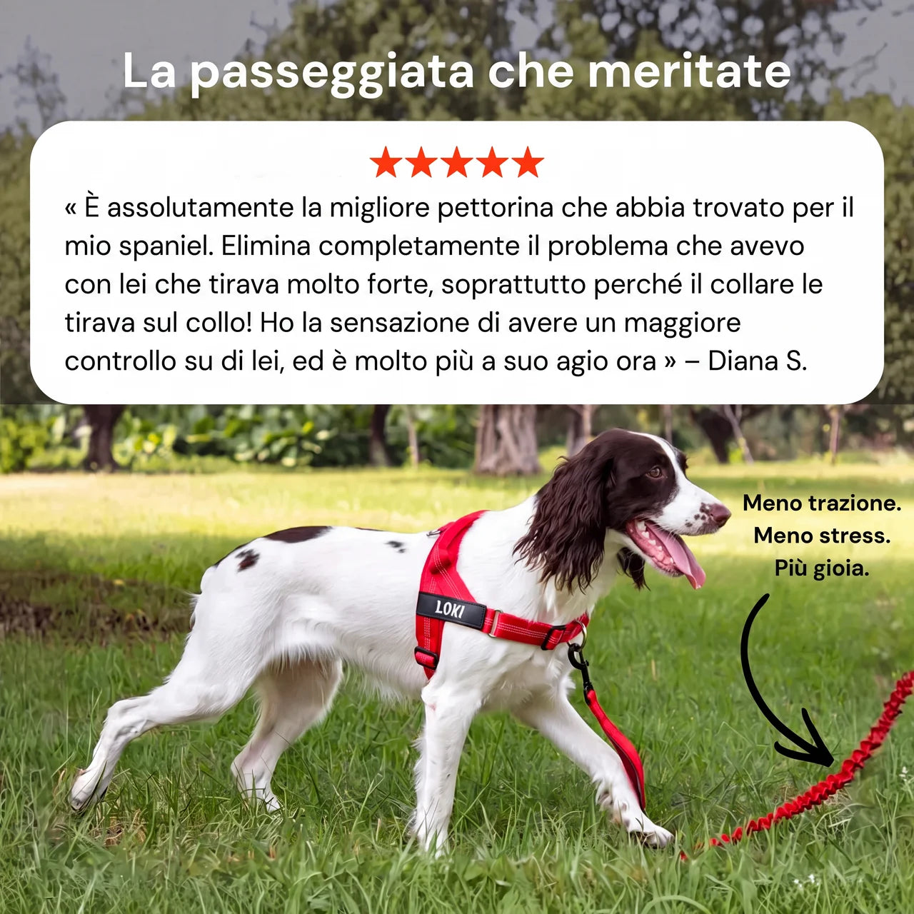 Pettorina anti-trazione per cane Nova