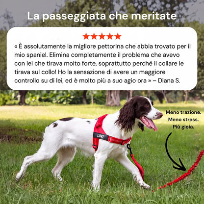 Pettorina anti-trazione per cane Nova