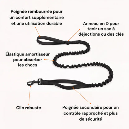Harnais pour chien anti-traction Nova