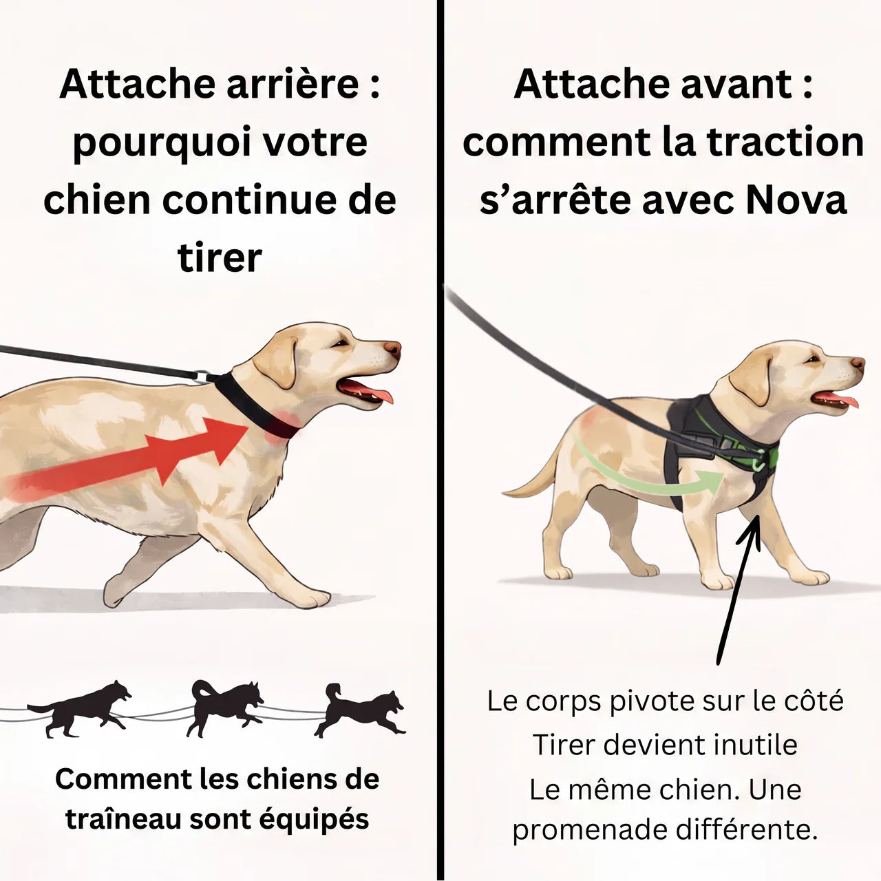 Harnais pour chien anti-traction Nova