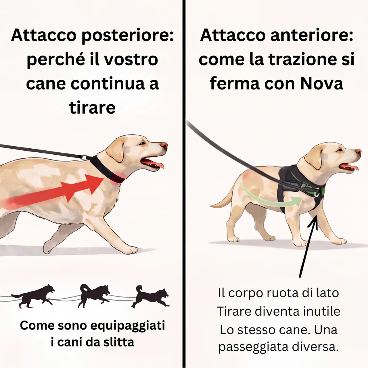 Pettorina anti-trazione per cane Nova