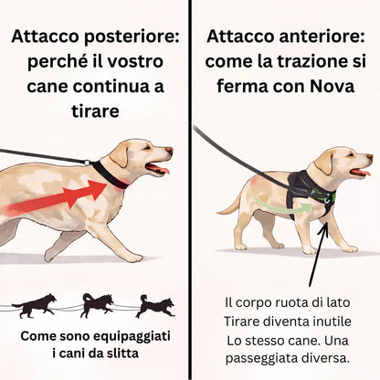 Pettorina anti-trazione per cane Nova