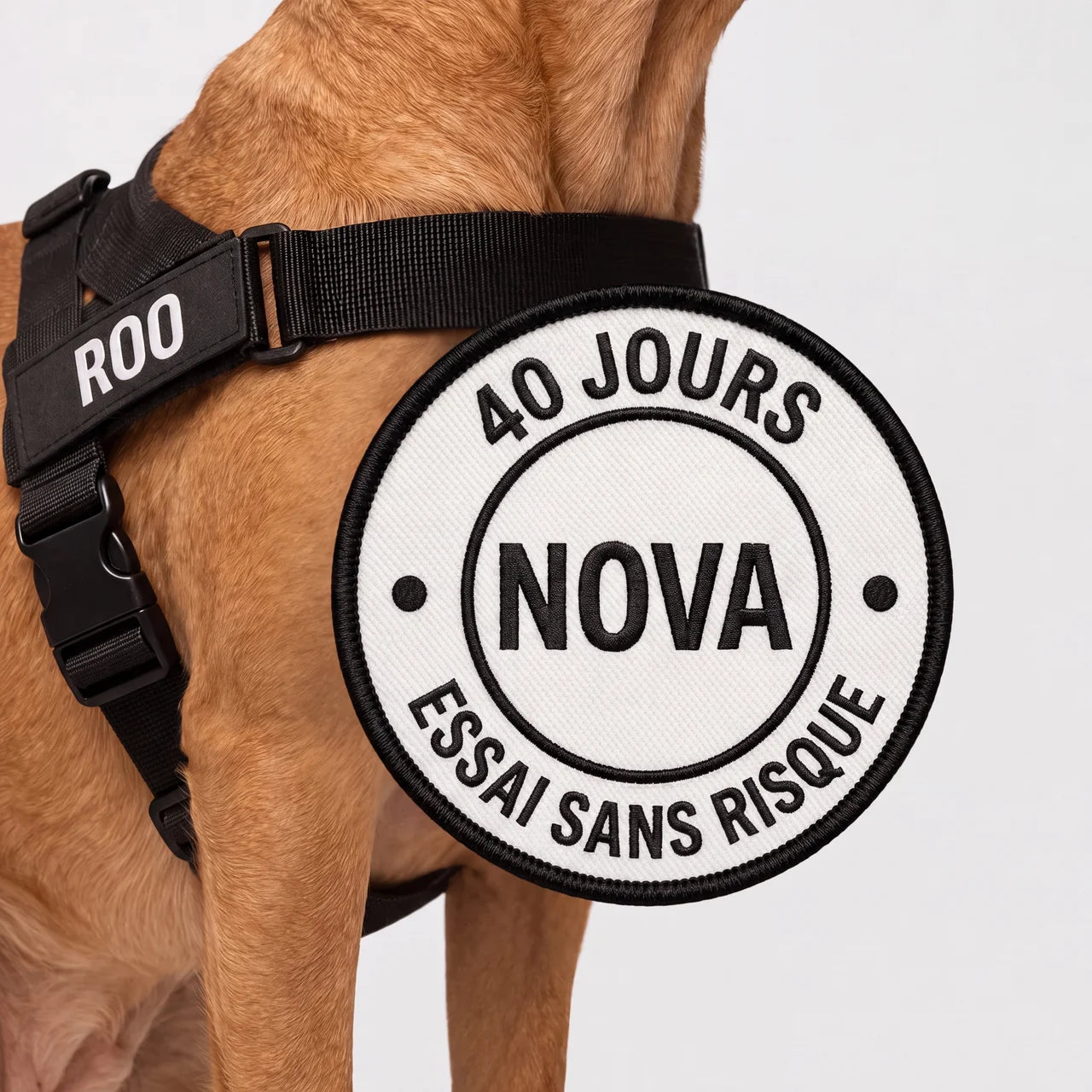 Harnais pour chien anti-traction Nova