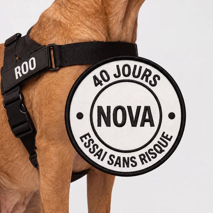 Harnais pour chien anti-traction Nova