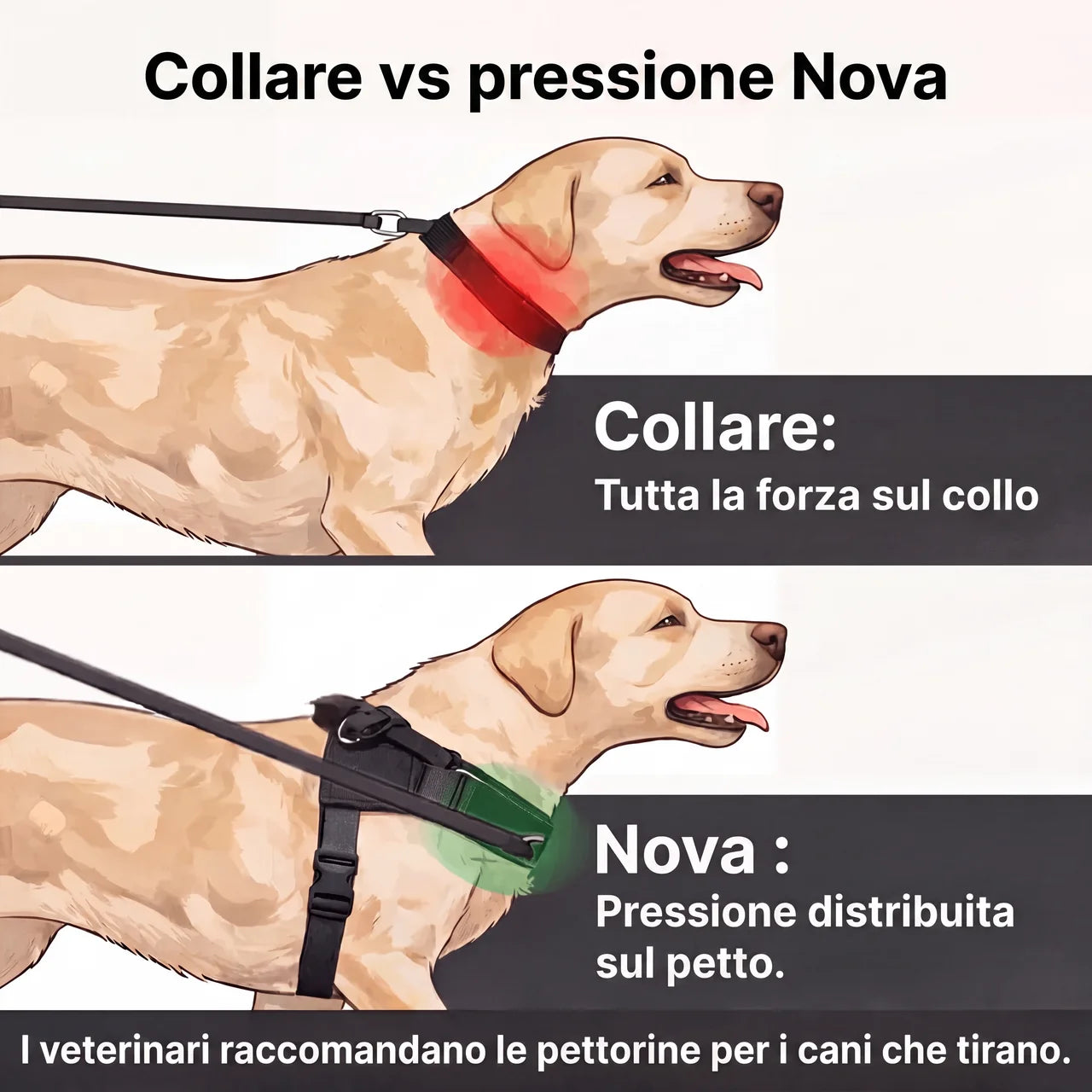 Pettorina anti-trazione per cane Nova