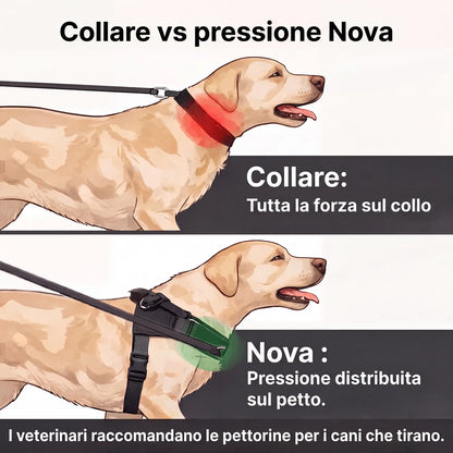 Pettorina anti-trazione per cane Nova