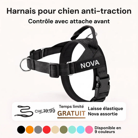 Harnais pour chien anti-traction Nova