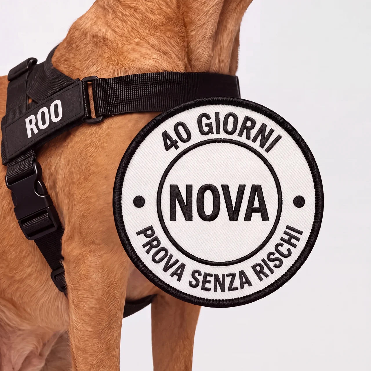 Pettorina anti-trazione per cane Nova