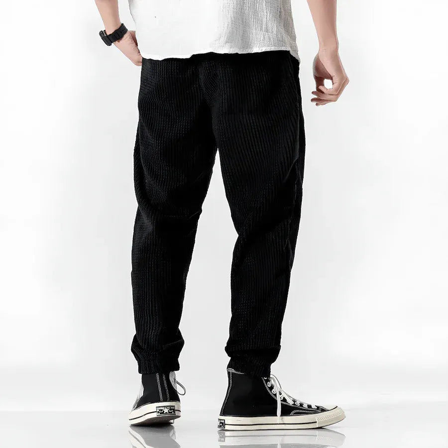Ramiro | Pantalons En Velours Modernes