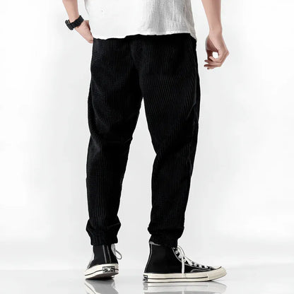 Ramiro | Pantalons En Velours Modernes