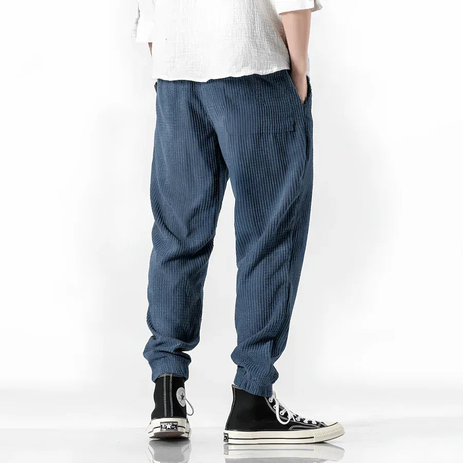 Ramiro | Pantalons En Velours Modernes