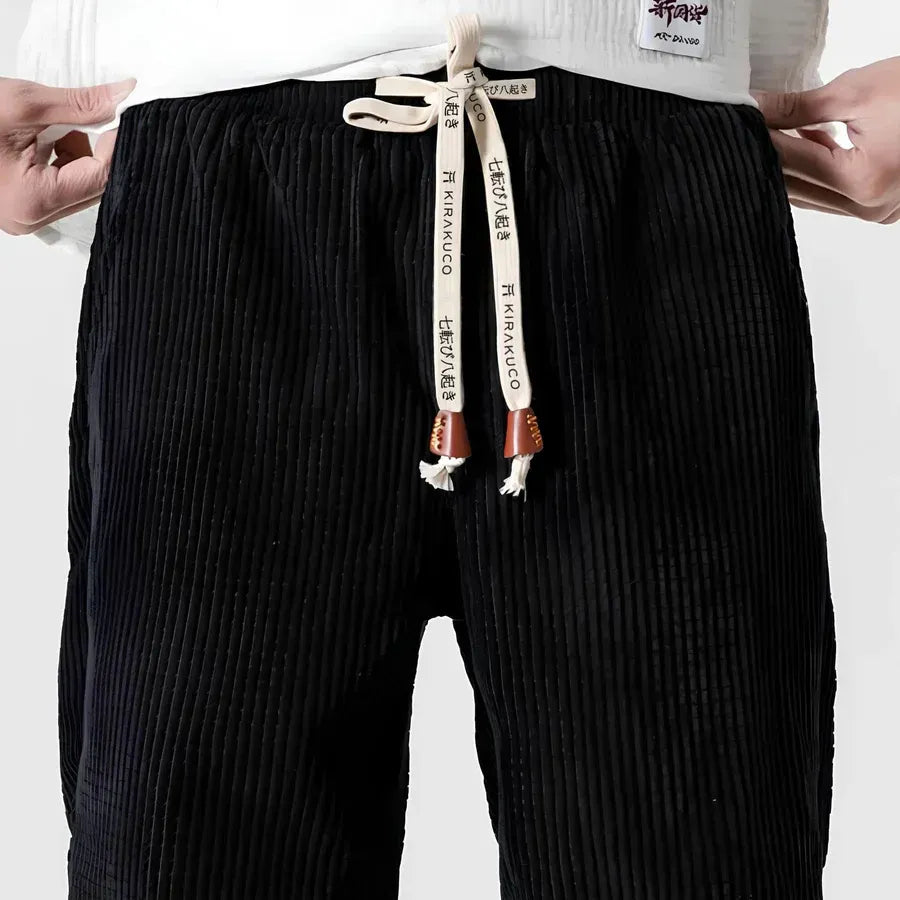 Ramiro | Pantalons En Velours Modernes