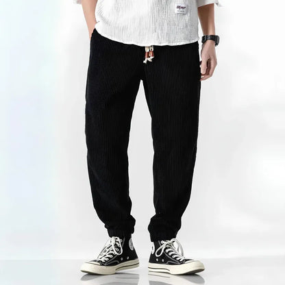 Ramiro | Pantalons En Velours Modernes